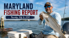 Maryland Fishing Report for Thursday, July 16, 2026