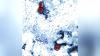 Wisconsin reports 61 confirmed cases of cyclosporiasis