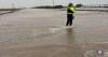 Crossroads counties included in Texas agricultural emergency declaration after flooding