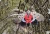 Spotted lanternfly spreads across West Virginia, threatening vineyards, forests and farms