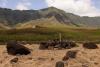 Helping to restore a sacred Hawaiian land