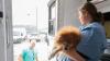 MSU mobile vet clinic assists shelters struggling to obtain veterinary care