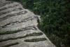 Collapse of Amazon soy pact to unleash new deforestation: study