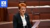 Hanson laments end of White Australia policy on Tommy Robinson podcast