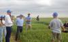 Agriculture In-depth-- Milling executives from Peru tour wheat country in South Dakota
