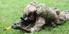 Two-Week Camp Challenges New RBR Recruits