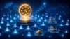 Solana Becomes the Largest Blockchain by RWA Holder Count
