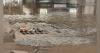 Stormwater upgrades helped Iowa city avoid repeat of 2018 flood disruption