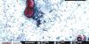 Wisconsin reports 61 cyclosporiasis cases; no common source identified