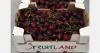"Greek cherries are under pressure from all sides"