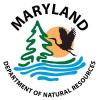 Maryland Opens Lottery for 2026 Black Bear Hunt