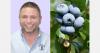 Peruvian production picking up on jumbo blueberries
