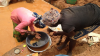 Cameroon cracks down on gold mining over under-reported production