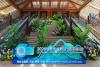 Asian city leaders laud Yunnan's eco-development