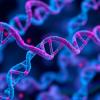 Scientists engineer next-generation cancer treatments by disabling tumor DNA repair