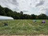 No farms, no food The challenges facing local farmers today