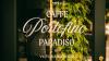 Victoria Beckham Beauty Hosts Immersive Pop-up Experience Inside New York’s Caffe Paradiso