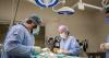 A $1 million gift is helping train Oregon's next generation of veterinarians