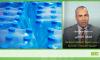 Mohamed Rabhi warns: “Exposing water bottles to sunlight encourages the migration of plastic components” [Video]