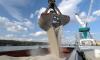 Fertilisers: US Market Boosts Morocco’s Growth Outlook, with 5.4% Expected in the Third Quarter