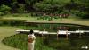 Japan imperial rules tweaked but still no woman emperor
