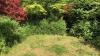 Revive brown lawns by doing 1 crucial task on Sunday
