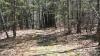 Rye trails for kids, better Portsmouth police station and more: Letters