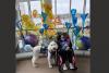 Lincoln support dog stands by Nebraska woman battling ultra rare disease