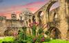 Discover the San Antonio Botanical Garden: A Blossoming Gem in Texas