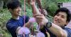 2,000 wind chimes add a cool note to gorge trail in central Japan