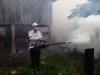 Cambodia Records Eight Years Without Malaria Deaths