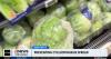 Gardening at home reduces risk of cyclospora contamination