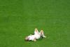 Penny For Your Thoughts: Football, fairness and the fury of World Cup debate