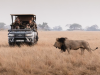 Wilderness Shumba and Busanga Bush Camp Reopen For 2026 Safari Season In Kafue