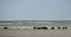 Where has all the water gone in Nebraska’s Panhandle?