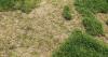 Gardeners urged to do crucial task this Sunday to revive brown lawns