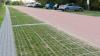 Dutch cities are replacing solid concrete surfaces with grass-filled paving blocks that absorb rainwater and help keep urban areas cooler
