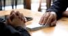 Should IDAC be scrapped? Experts debate future of SA's anti-corruption unit