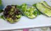 Michigan points to lettuce, salad greens as parasite outbreak grows without a recall