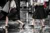 Thailand seeks Japan's backing for flood-control projects as climate risks intensify