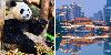 First direct flights to launch from UK to Asian city famous for giant pandas and iconic cuisine