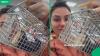 “Looks like a rat cage”: German woman in Cape Town stunned by locked pharmacy medication, SA reacts
