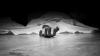 Sri Lanka’s former police chief found dead