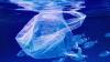 Scientists find microplastics in one of Earth's most isolated ecosystems: Indian Ocean hit hardest with up to 14.7 times more particles than Pacific specimens