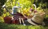 Gardeners often hear about supposed hacks and quick fixes. Here are some common ones debunked