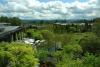 Green Cooling Infrastructures are Transforming Urban Climate Across America