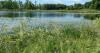 Michigan DNR to auction 97 state-owned properties across Michigan in August