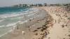 'Free' holiday souvenir could quietly land tourists a £1,300 fine