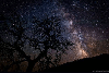 When the sky went dark: what is nature telling us?