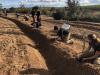 Ekōgaio is helping regenerate Portuguese landscapes from its hub near Tomar